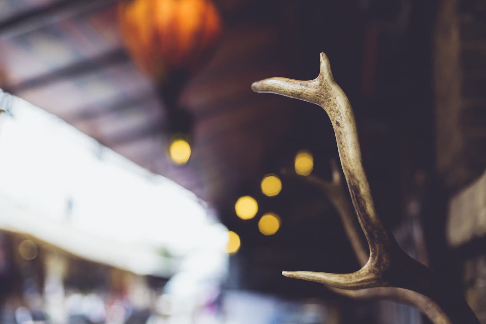 style1-03.jpg style1-03.jpg